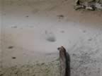 I-Mud Geyser (20).jpg (52kb)